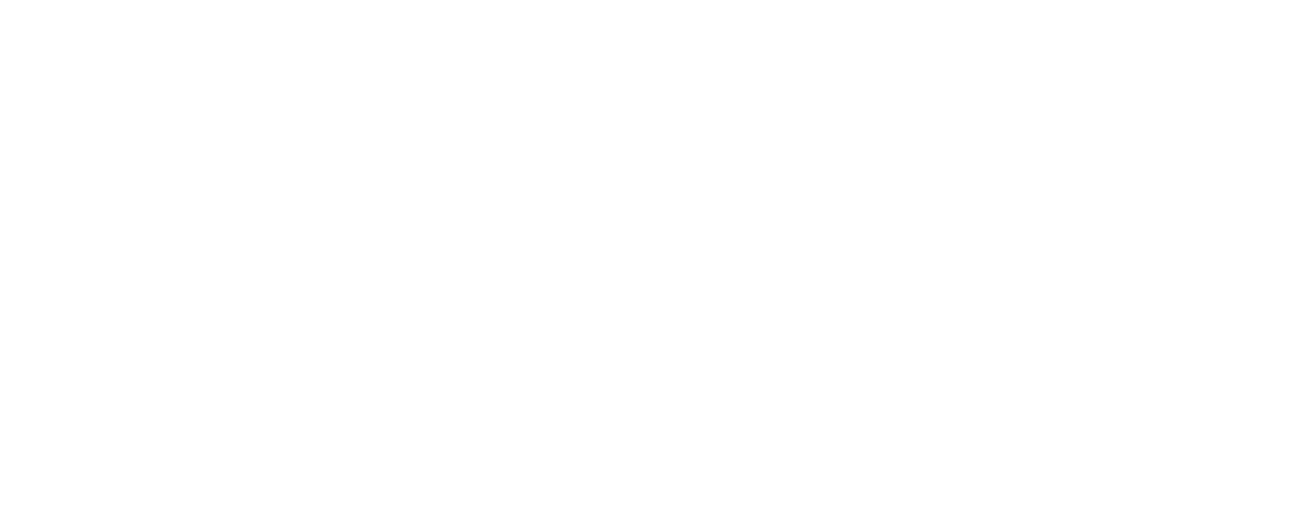 Elite-Masonry_Logo-2017_white-01